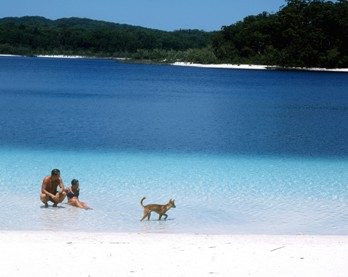 Lake McKenie Fraser Island Lake McKenie Fraser Island