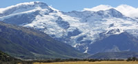 Wellington