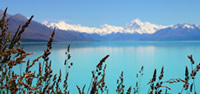 Christchurch