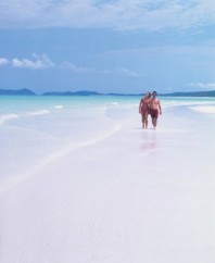 Whitsunday Beach Whitsunday Beach