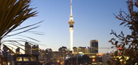 Auckland Skyline