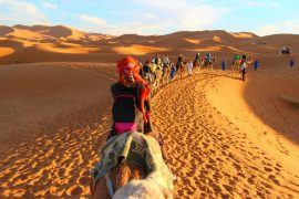 Morocco Sahara Desert sanddunes camel