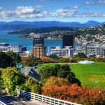 Things-To-Do-Wellington-Free