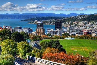 Things-To-Do-Wellington-Free