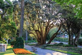 Wellington-Botanic-Garden-Picnic-Spots