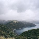 Makara-Beach-NZ-Carbon-Offset
