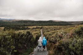National-Parks-New-Zealand-Tongariro